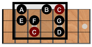 Beginners Next Steps